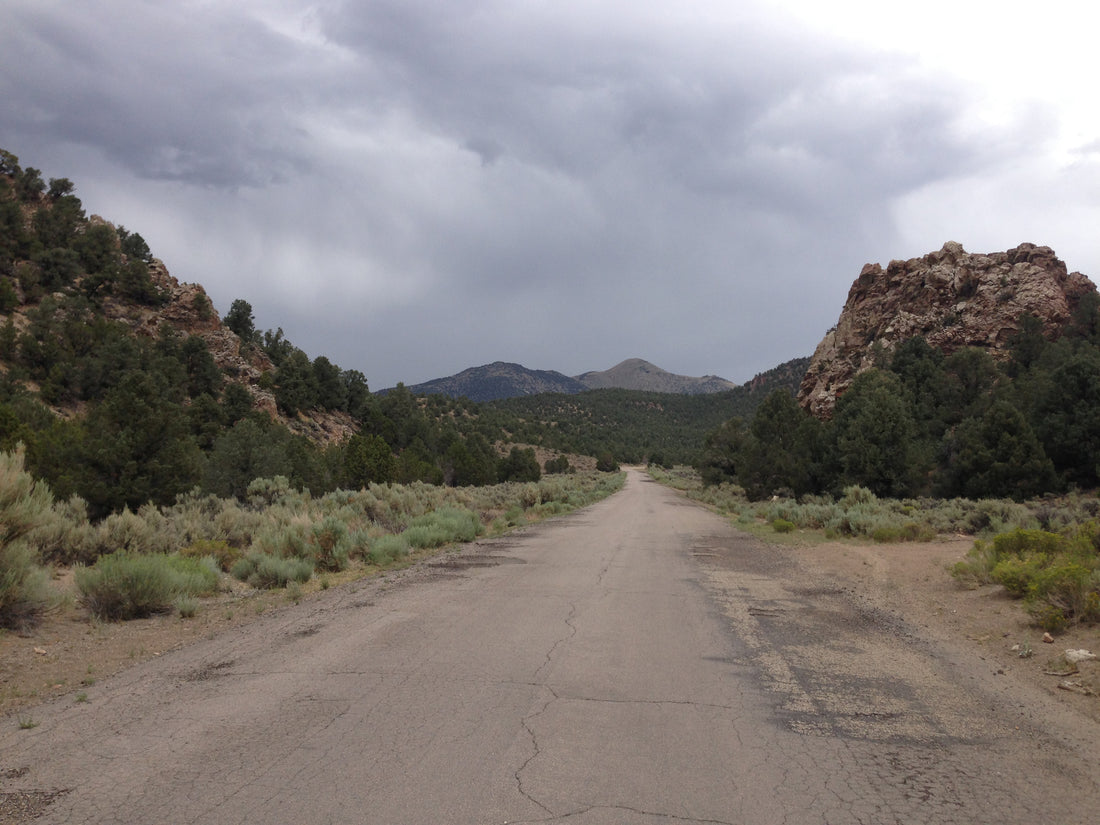 The Ione Road leaving Ione, Nevada, looking across the Paradise Range country where the Ellsworth ghost town lies