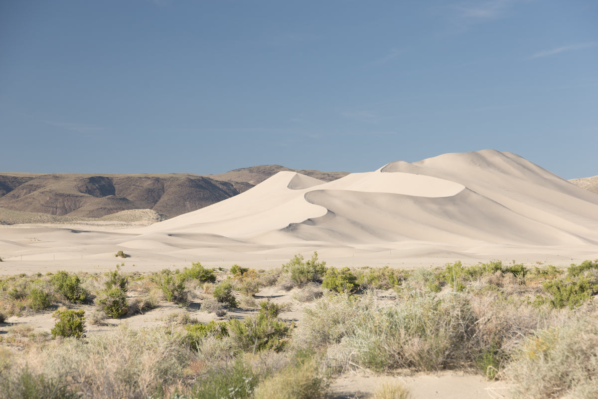 Sand Mountain, a large sand dune in the Nevada desert east of Fallon.