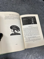 James Stephens The Crock of Gold, Thomas Mackenzie Color Plates, 1956