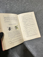 Westminster Reading Books Standard III, Wishford School Wilts, 1905