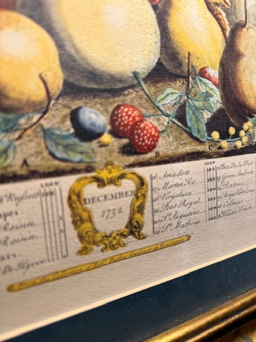 Pair of 19th-Century Hand-Colored Botanical Engravings after Robert Furber | September & December Plates