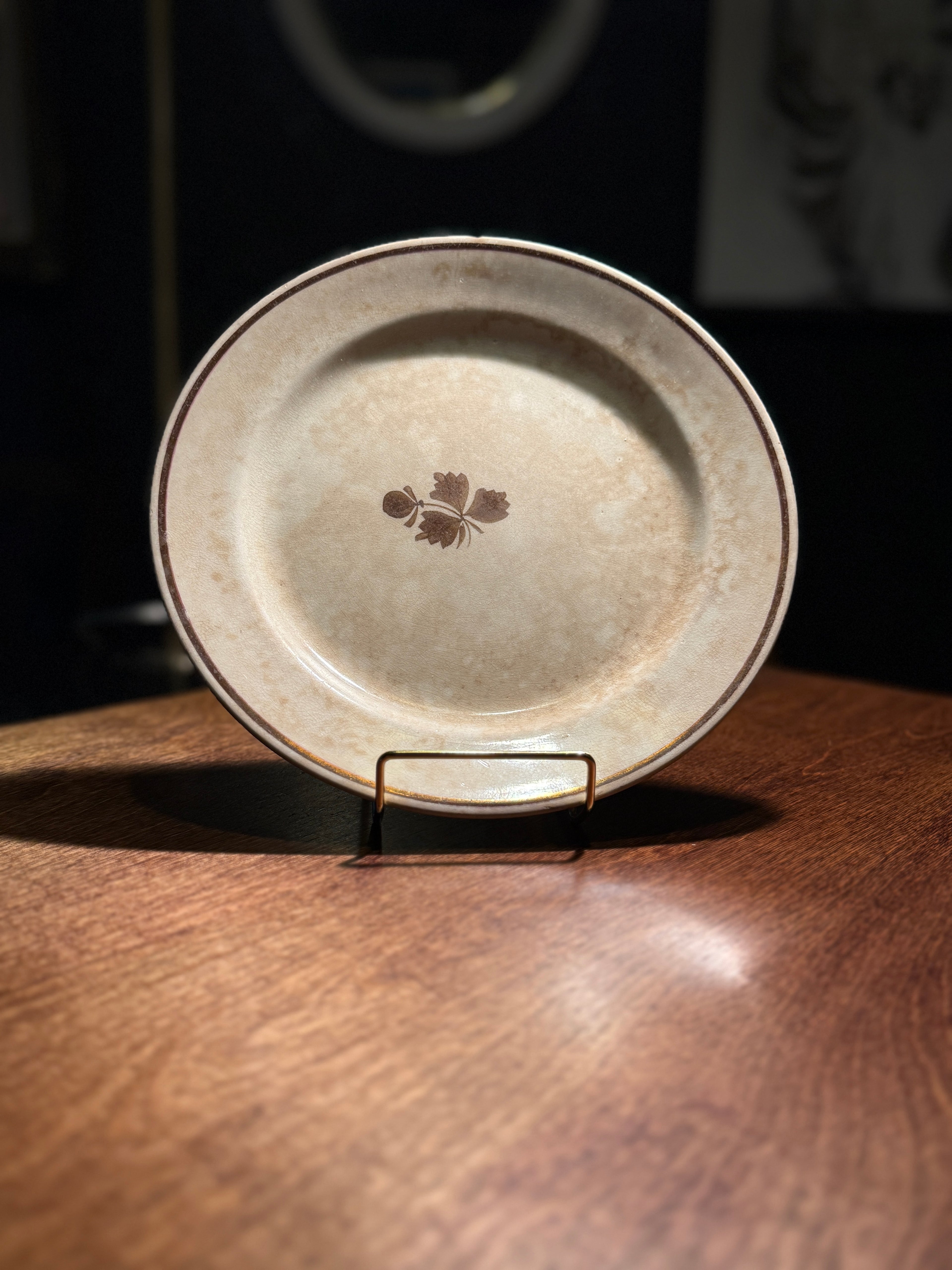 1890s W.H. Grindley Royal Ironstone Dinner Plate • English Victorian Brown Sprig Ironstone