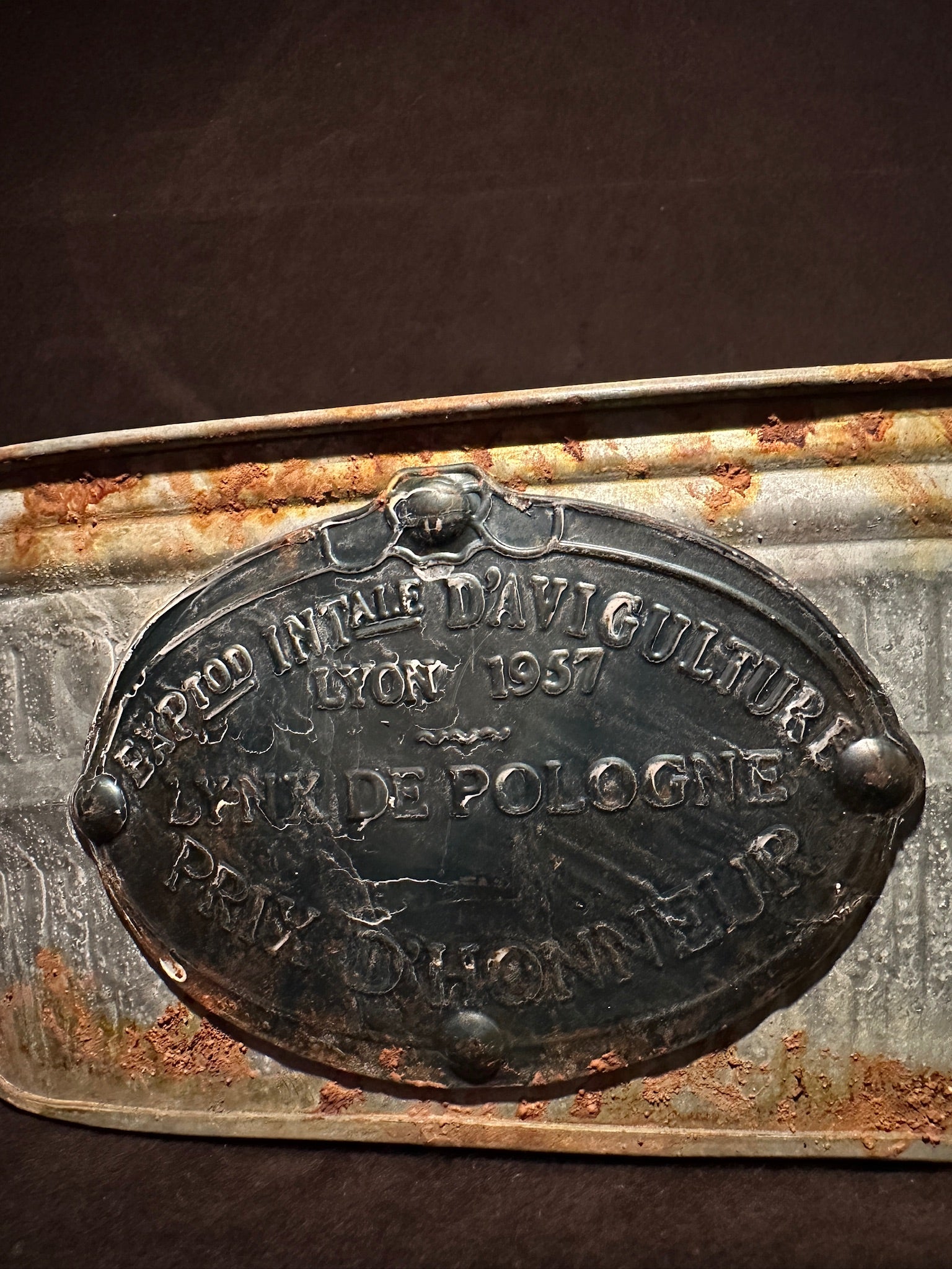 Vintage French Galvanized Metal Planter, Lyon Aviculture Prize d'Honneur 1957