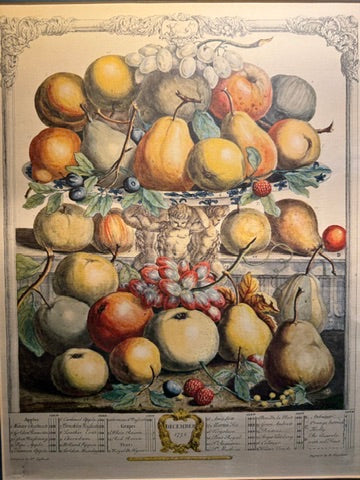 Pair of 19th-Century Hand-Colored Botanical Engravings after Robert Furber | September & December Plates