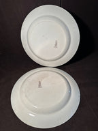 Antique Royal Doulton Exeter Plates, c. 1910s–1920s