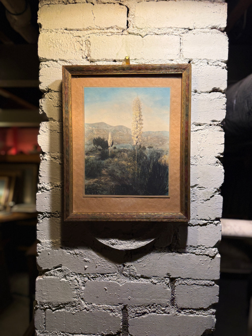 Mid-Century Desert Yucca Landscape Photograph, c. 1956–1965