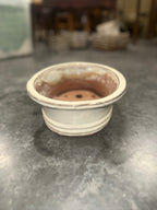 Oval Crackle-Glazed Stoneware Bonsai Pot, Collared Rim and Cloud Feet, Drainage and Wire-Tie Holes, c. 1950–1970