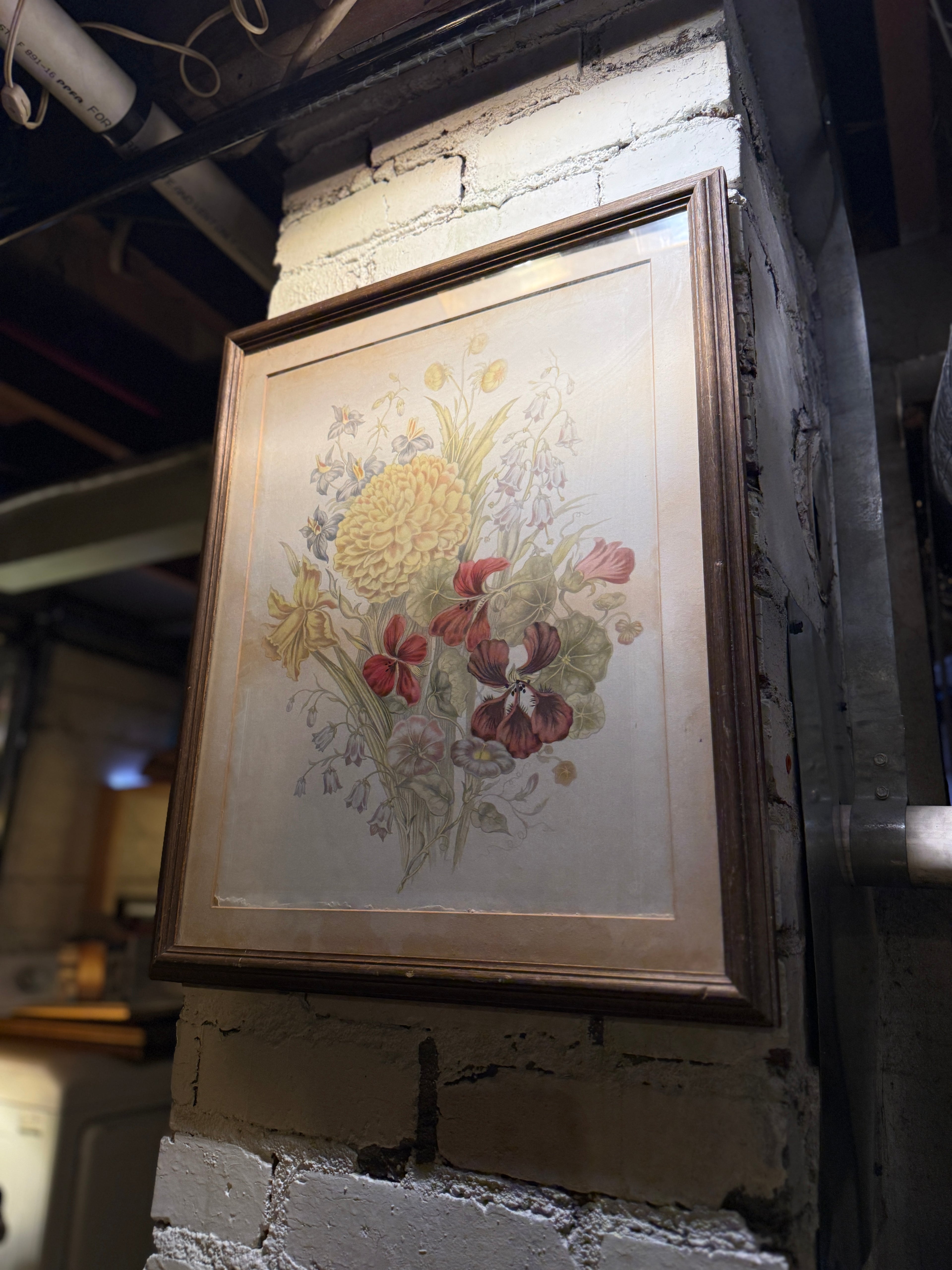 Antique Botanical Floral Chromolithograph, Late 19th–Early 20th Century