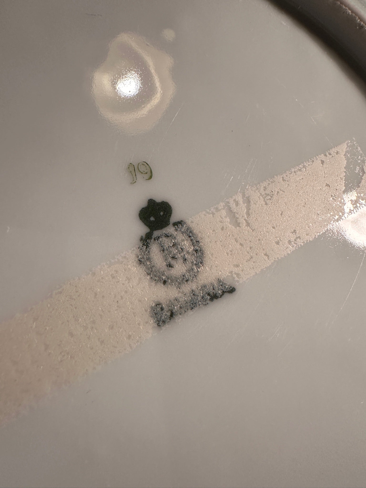 Antique Hand-Painted Porcelain Dessert Plate with Raised Enamel Flowers, c. 1900–1920