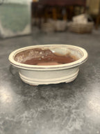 Oval Crackle-Glazed Stoneware Bonsai Pot, Collared Rim and Cloud Feet, Drainage and Wire-Tie Holes, c. 1950–1970