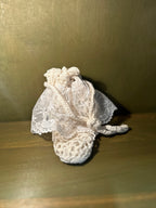 Hand-Crocheted Cotton Drawstring Reticule with Lace Inserts and Worked Cord Ties, Shell-and-Picot Base, Ivory