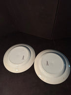 Antique Royal Doulton Exeter Plates, c. 1910s–1920s