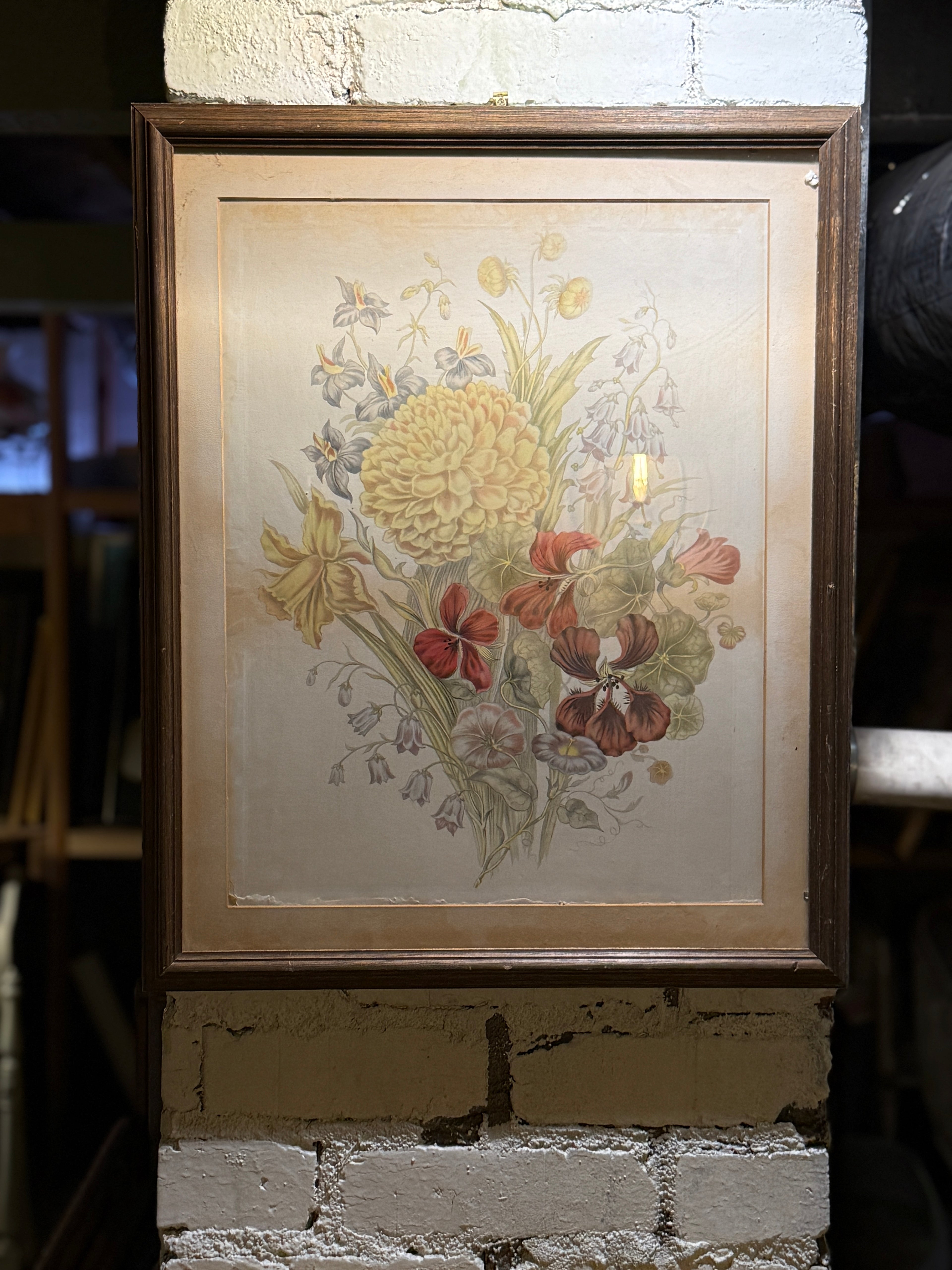 Antique Botanical Floral Chromolithograph, Late 19th–Early 20th Century