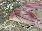 Large Impasto Floral Still Life by Lee Reynolds for Vanguard Studios, Oil on Canvas in Dusty Rose, Sage and Cream, Signed, c. 1975–1985