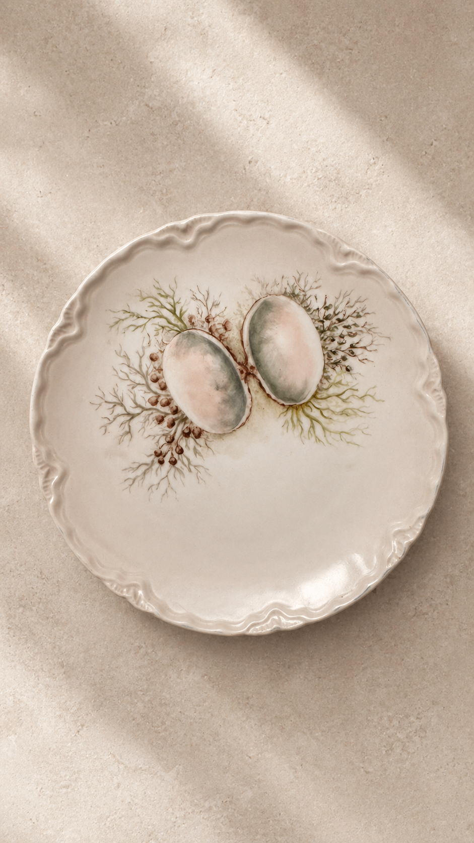Antique Hand-Painted Botanical Cabinet Plate c. 1890–1920