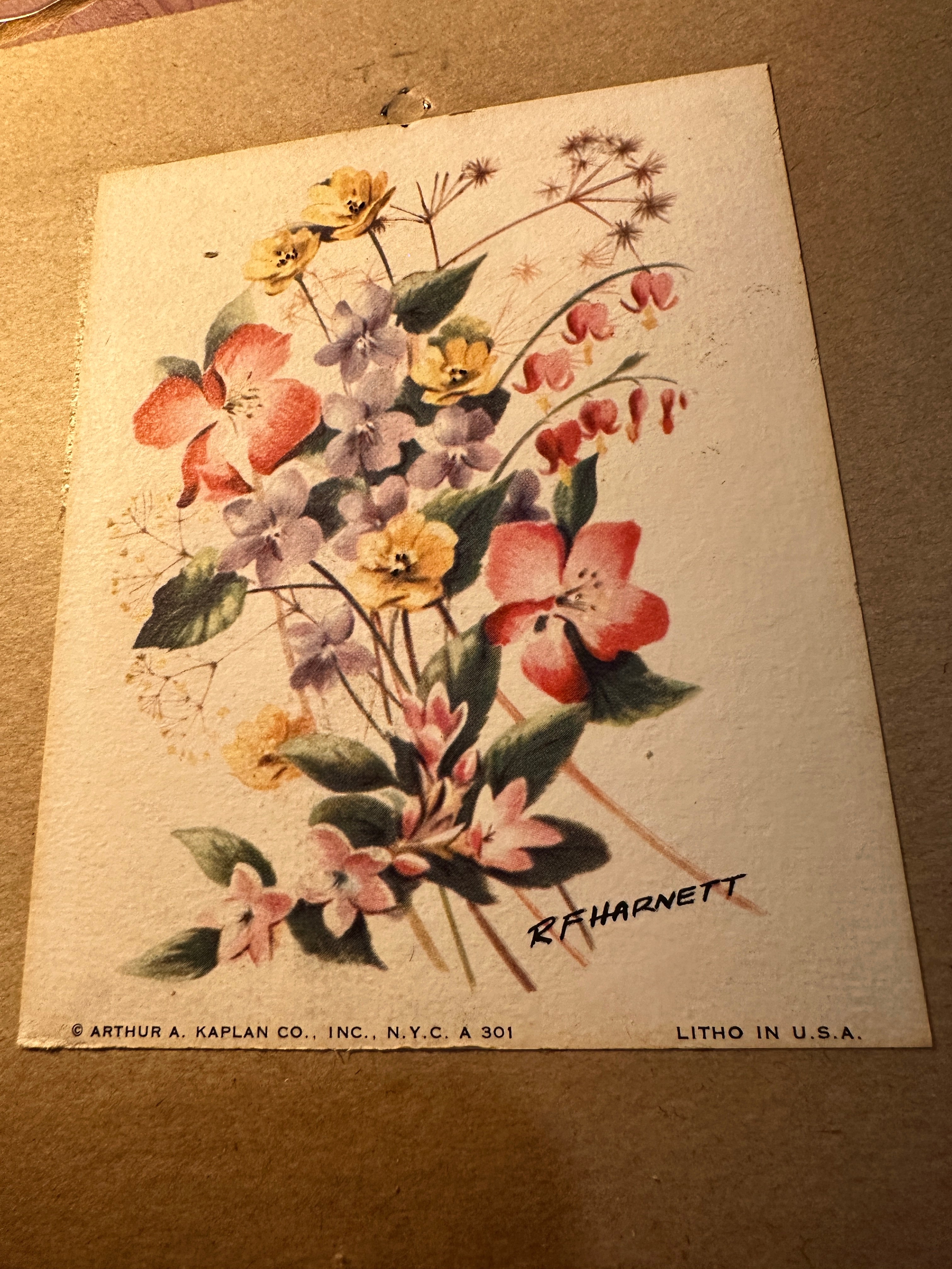 Vintage Floral Lithograph by R.F. Harnett, Mid-20th Century | Curated Reductions