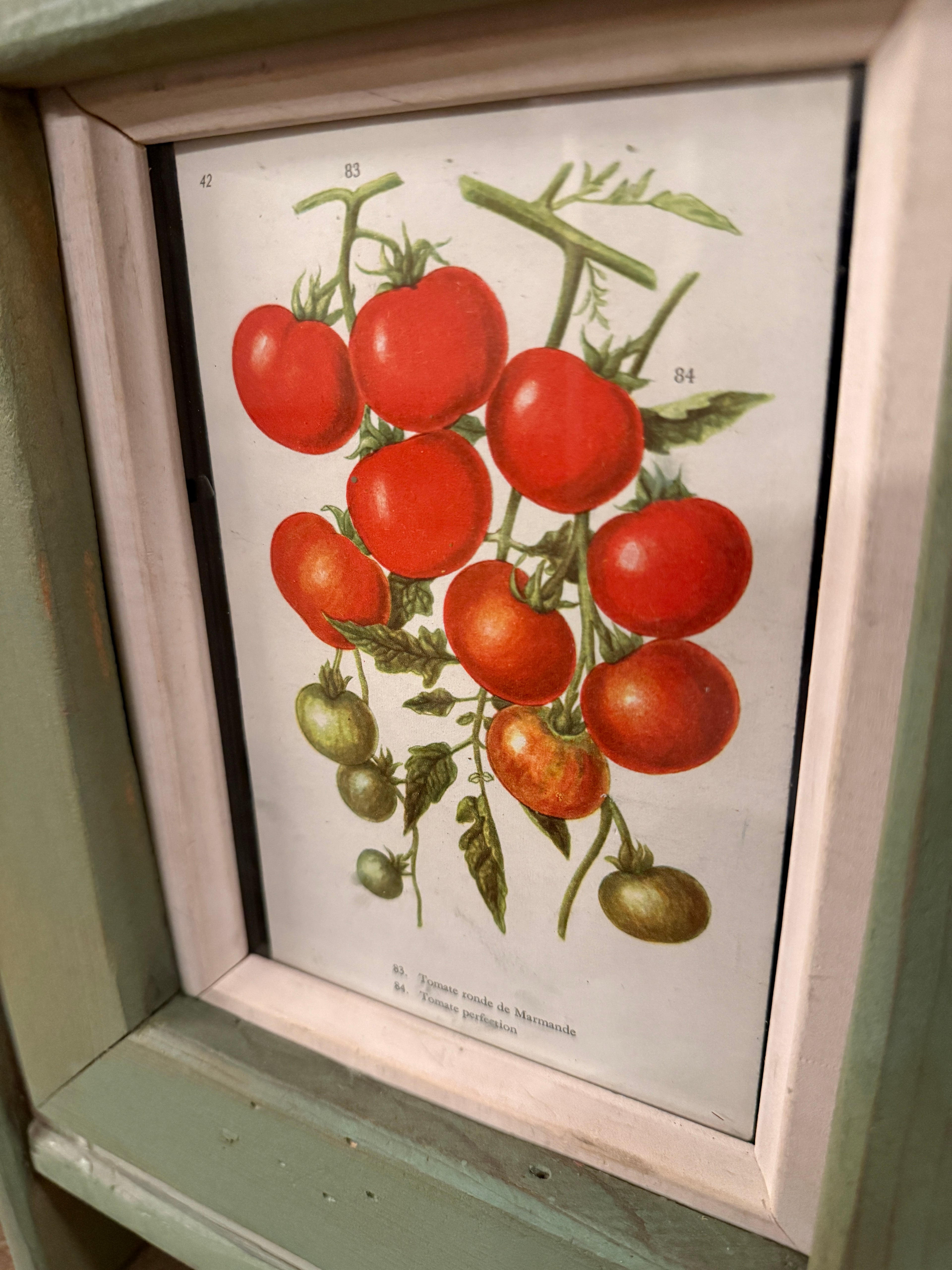 Early 20th Century Cottage Cabinet | Glass-Front Botanical | Circa 1905–1925