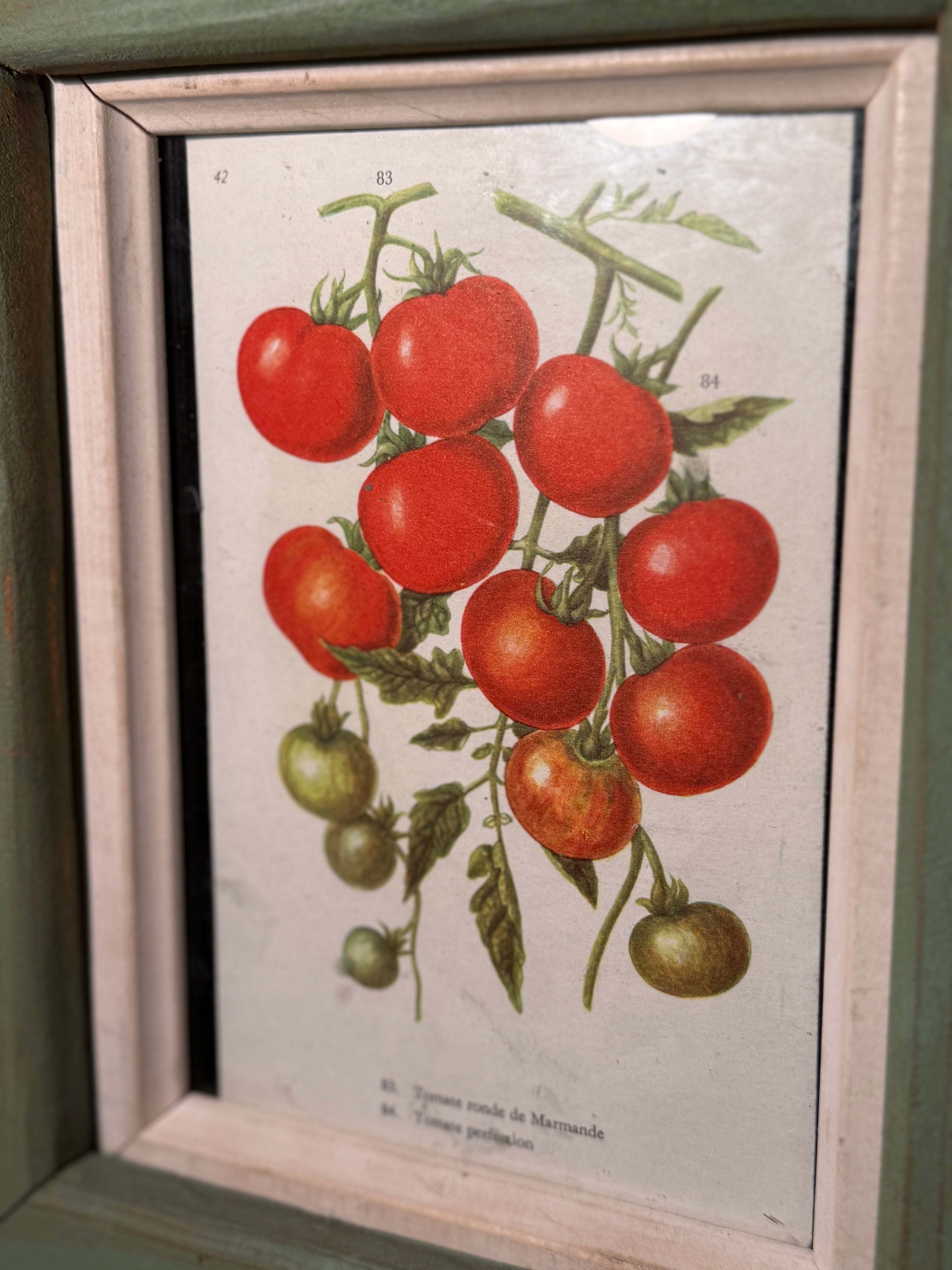 Early 20th Century Cottage Cabinet | Glass-Front Botanical | Circa 1905–1925