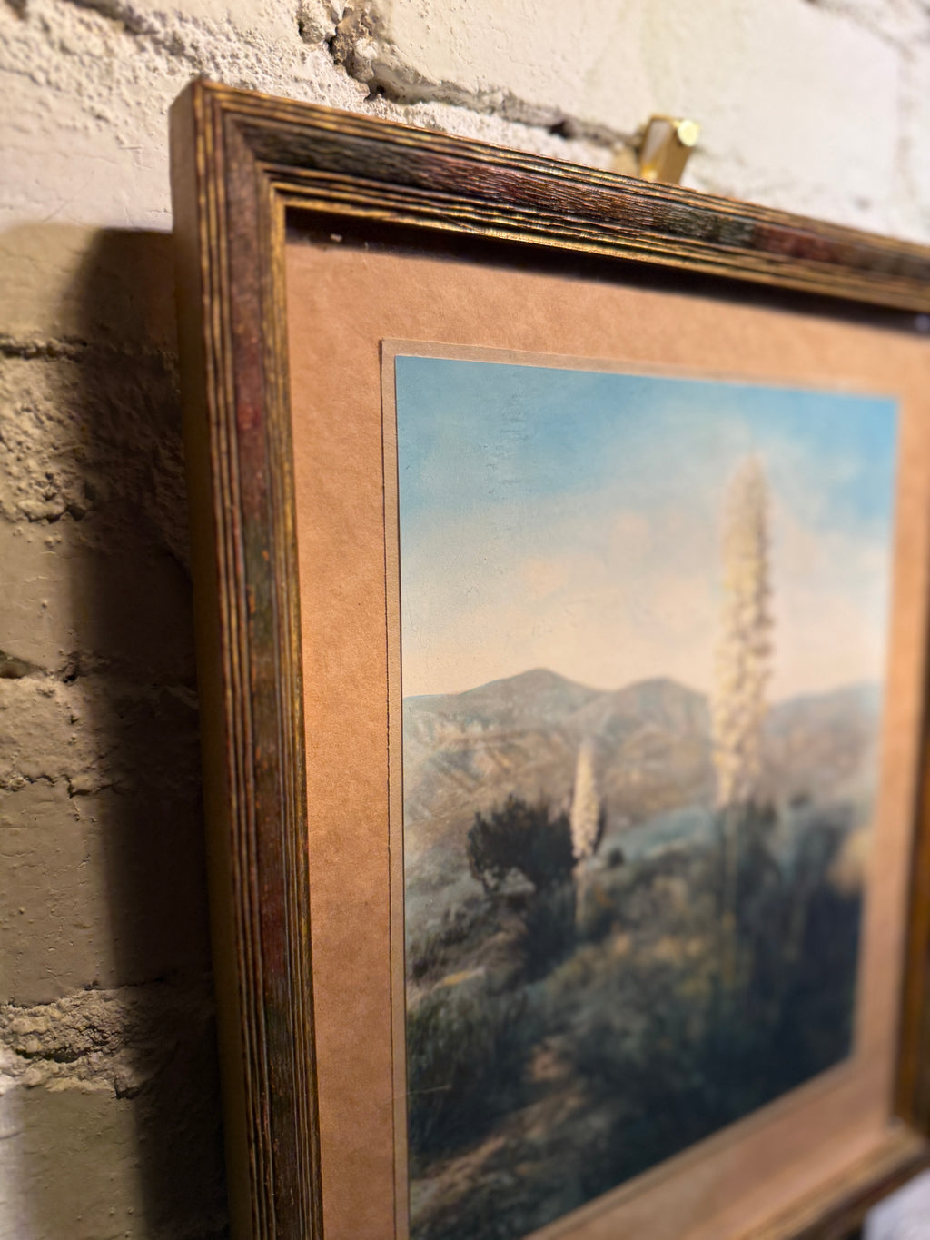 Mid-Century Desert Yucca Landscape Photograph, c. 1956–1965
