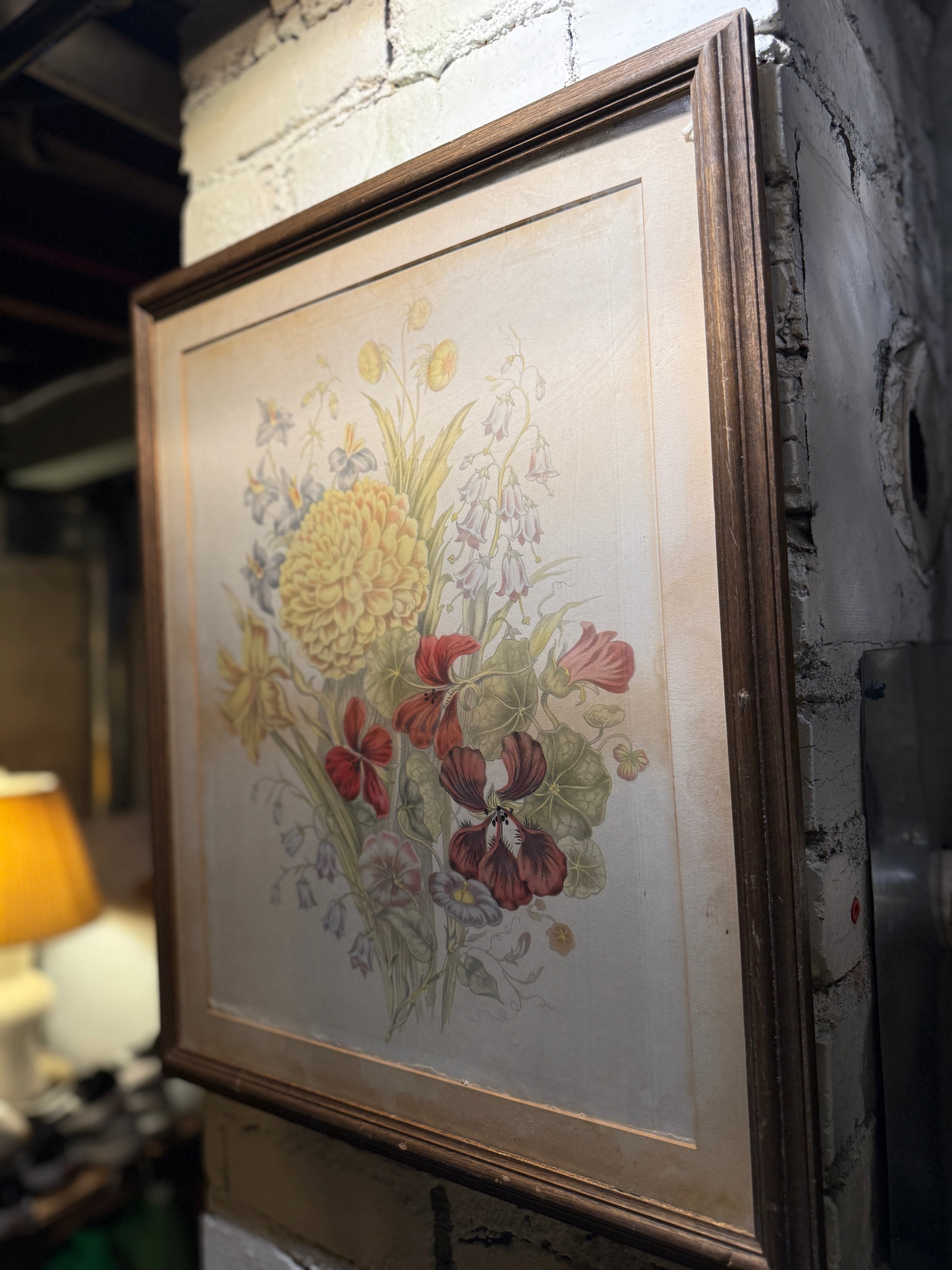 Antique Botanical Floral Chromolithograph, Late 19th–Early 20th Century