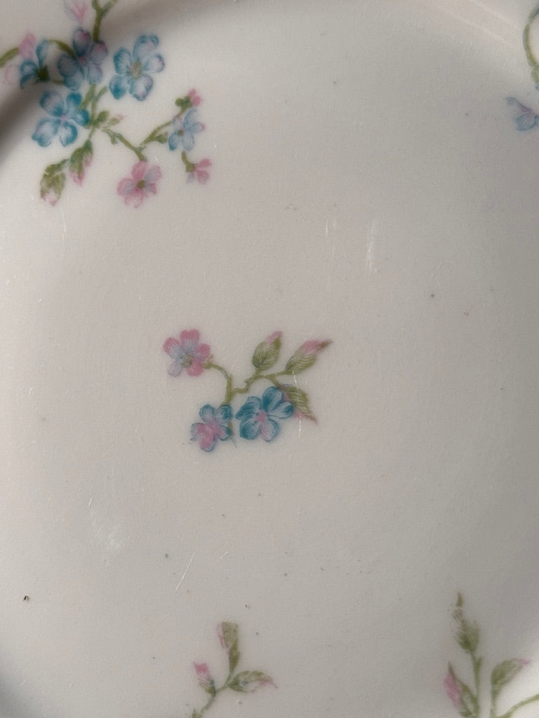 Antique Haviland Limoges Porcelain Floral Dessert Plate c.1894–1921