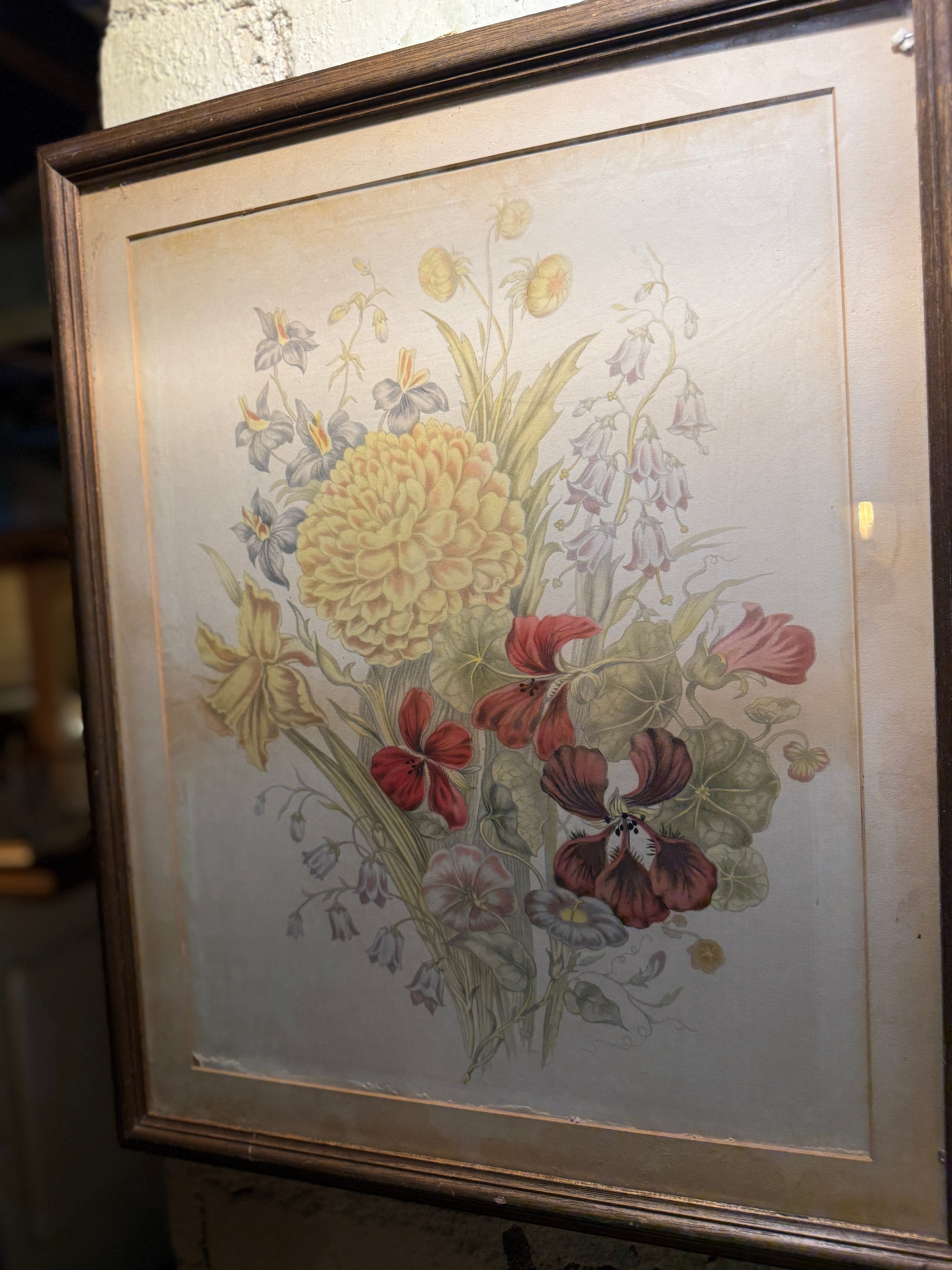 Antique Botanical Floral Chromolithograph, Late 19th–Early 20th Century