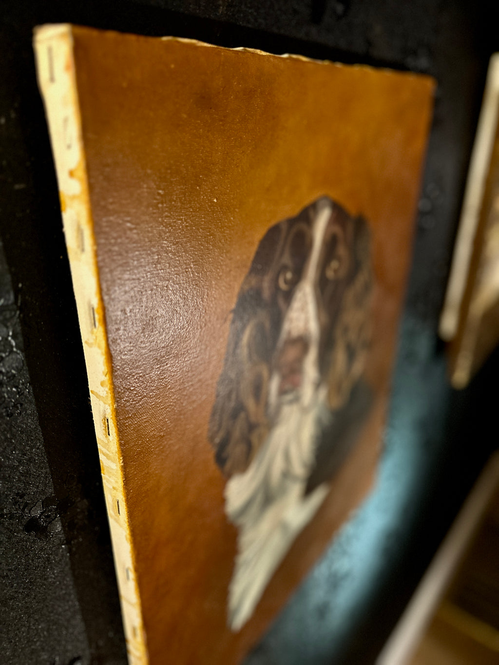 Sporting Dog Portrait (English Springer Spaniel), Signed E.B. Lawrence