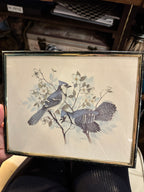 Framed Trio of Vintage Bird & Botanical Lithographs, c. 1980 | Curated Reductions