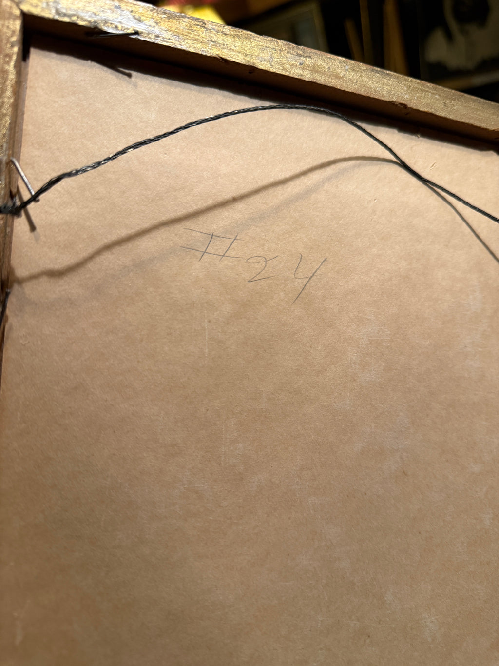 Mid-Century Desert Yucca Landscape Photograph, c. 1956–1965