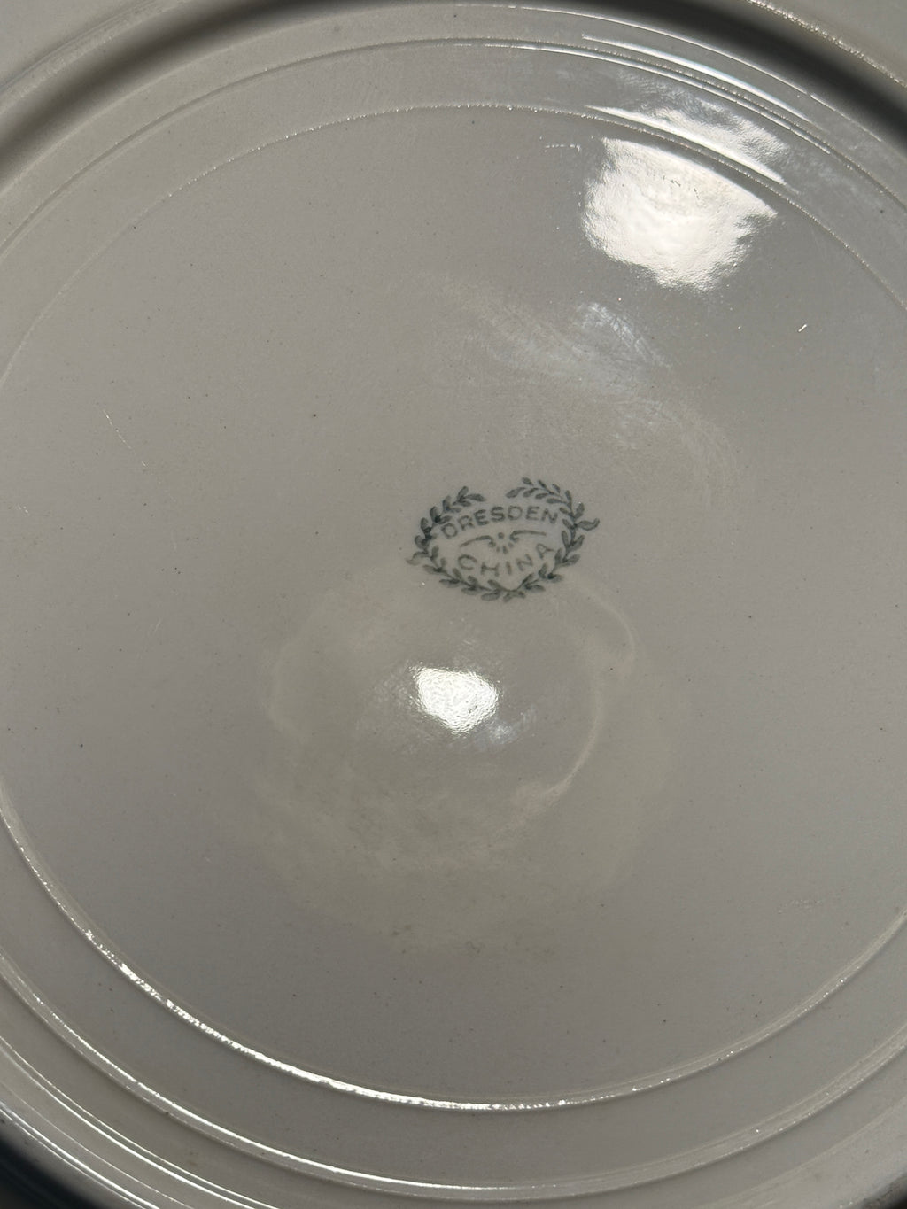 Antique Dresden Hand-Painted Rose Plate | c. 1900–1920 German Porcelain