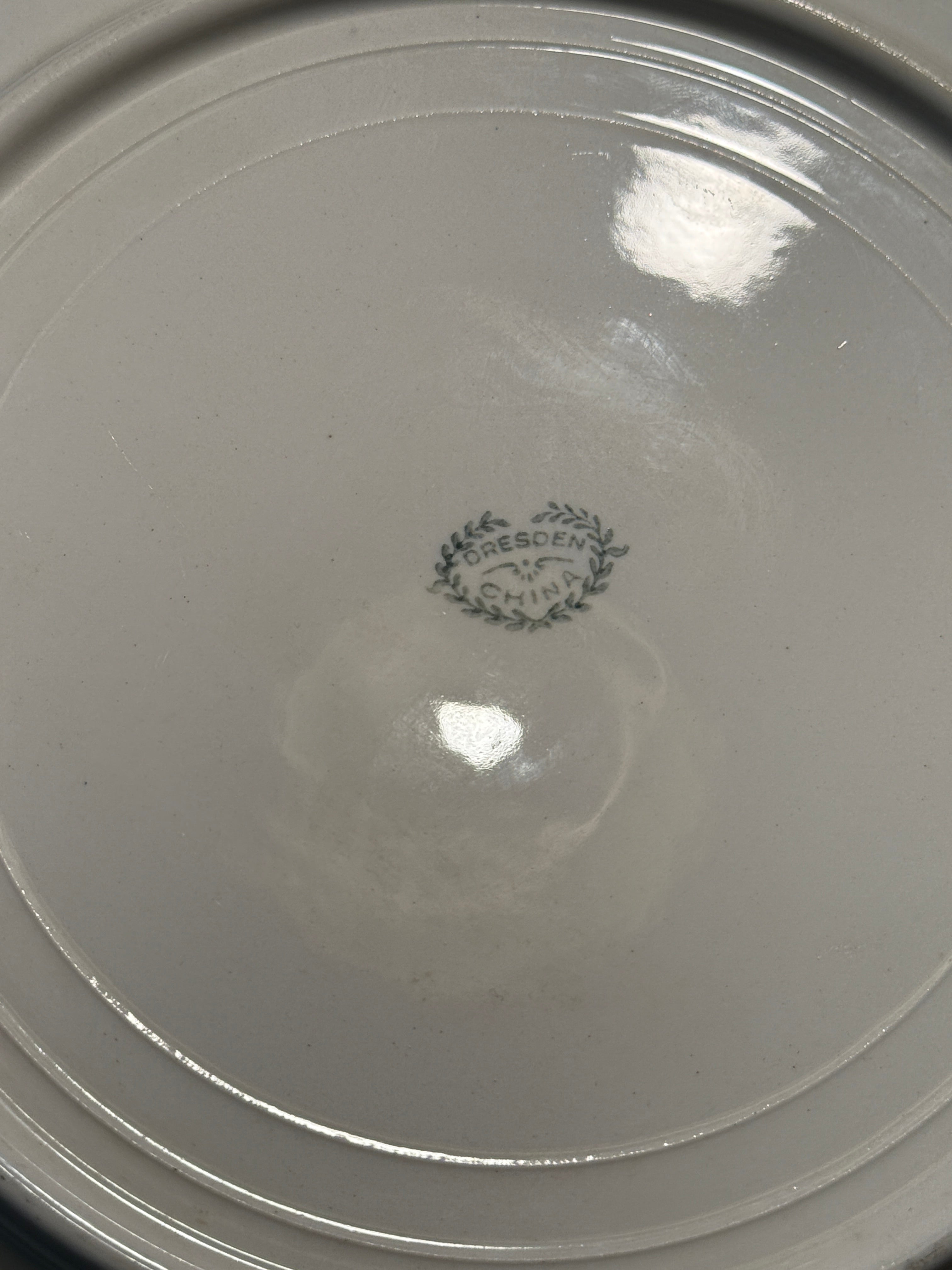 Antique Dresden Hand-Painted Rose Plate | c. 1900–1920 German Porcelain