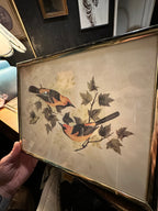 Framed Trio of Vintage Bird & Botanical Lithographs, c. 1980 | Curated Reductions