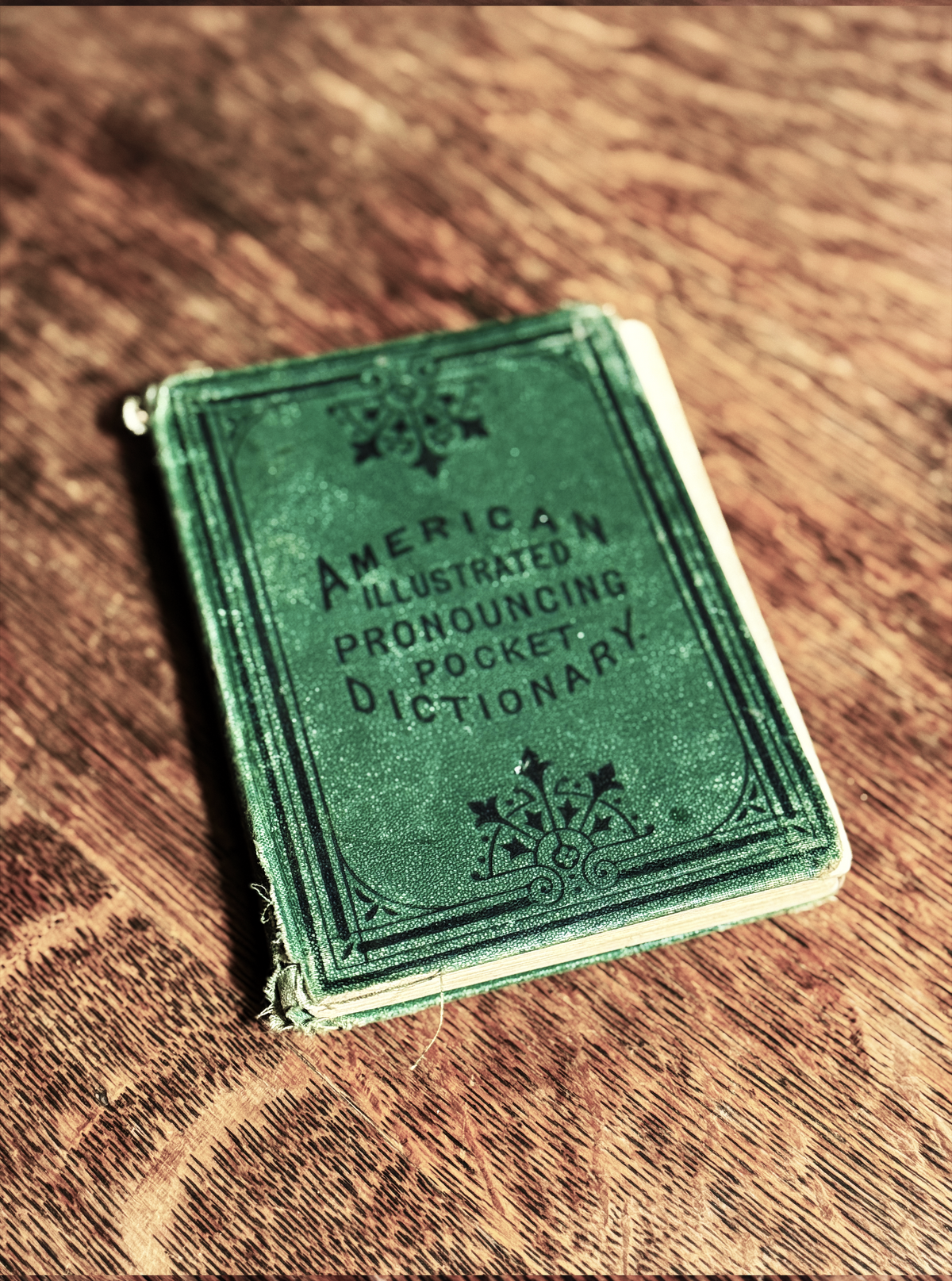 American Illustrated Pronouncing Pocket Dictionary, Published 1870