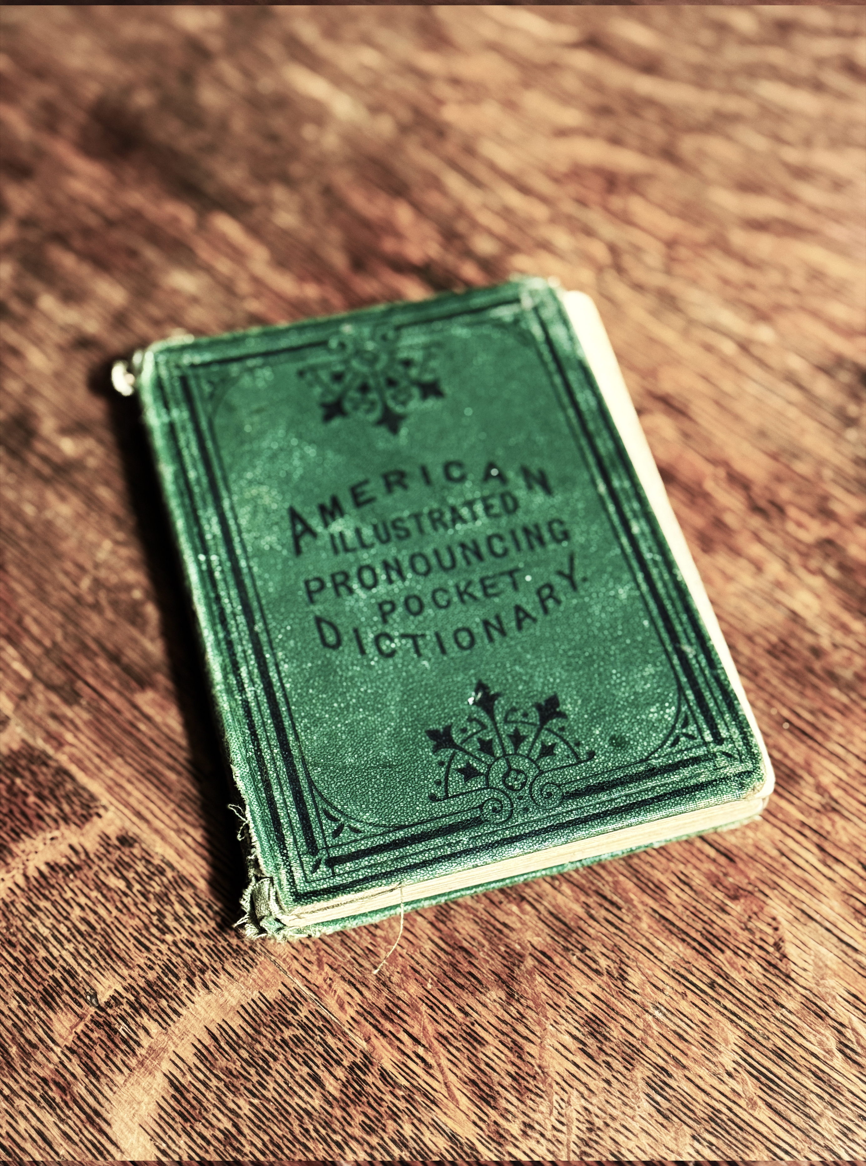 American Illustrated Pronouncing Pocket Dictionary, Published 1870