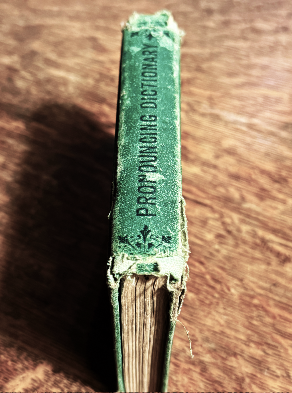 American Illustrated Pronouncing Pocket Dictionary, Published 1870