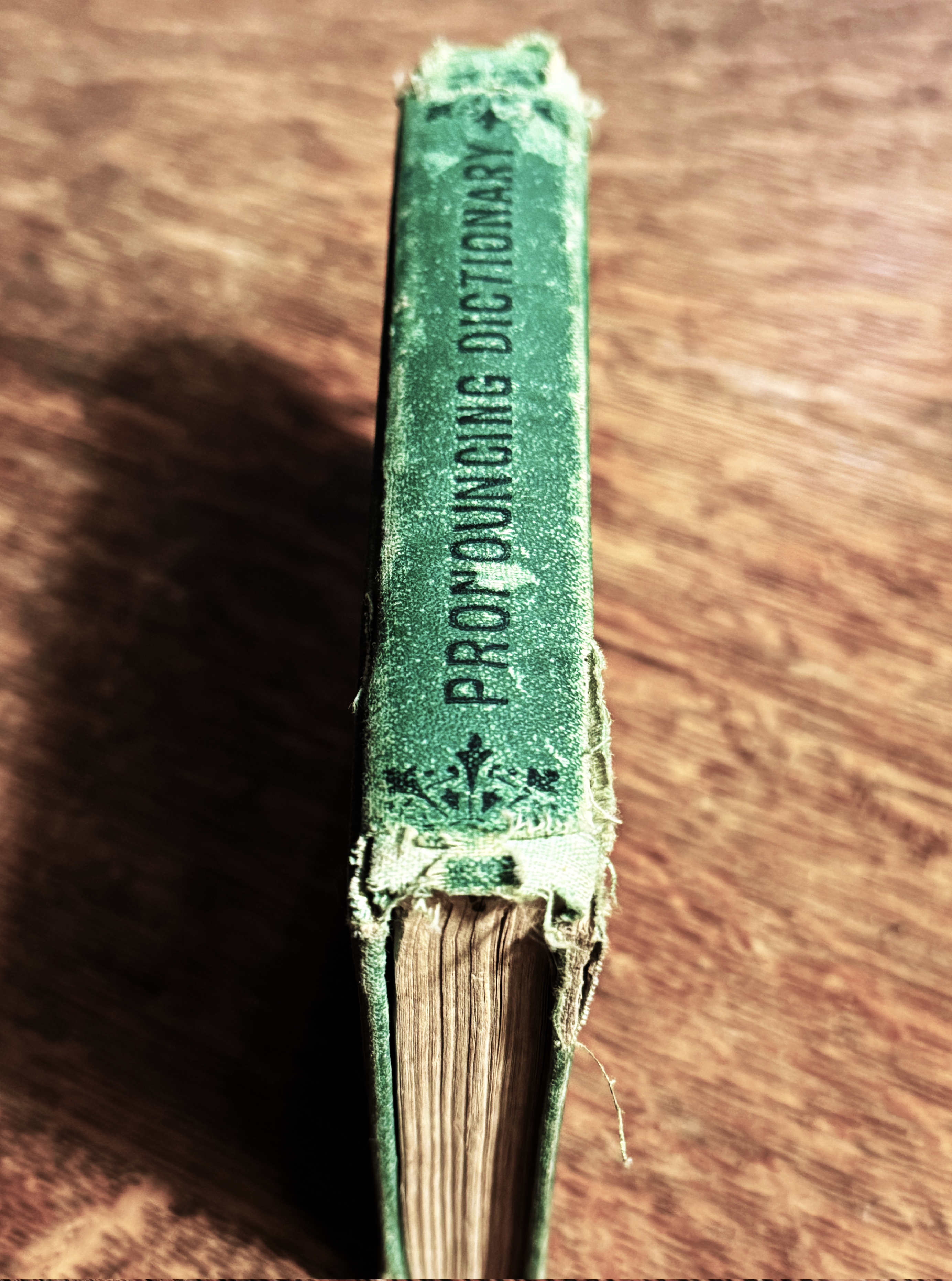 American Illustrated Pronouncing Pocket Dictionary, Published 1870