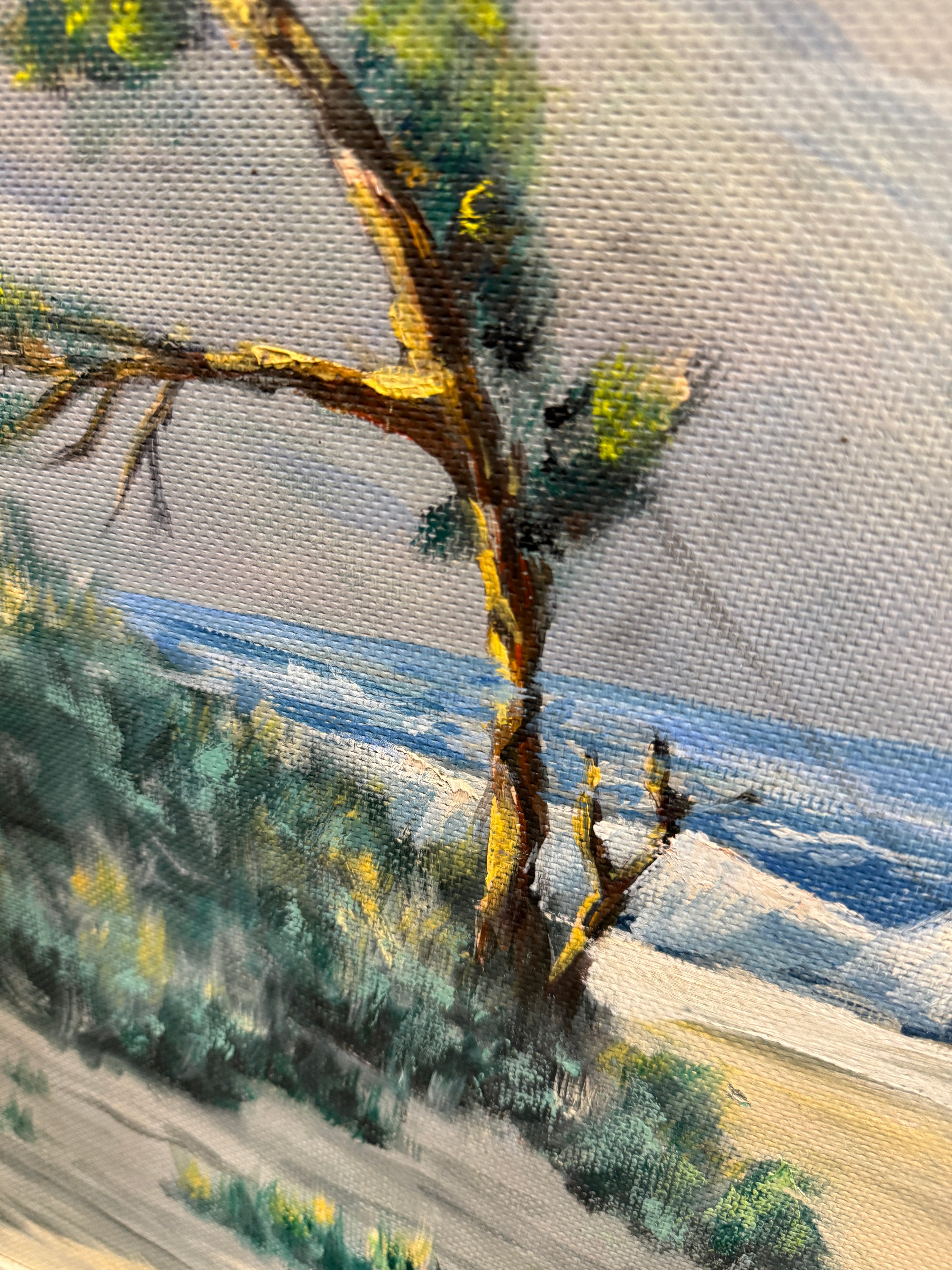 D. Giannoni Coastal Oil Painting with Windswept Tree, c. 1930s–1950s