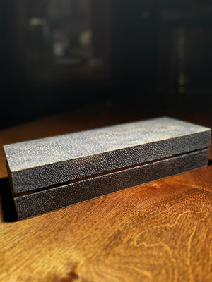 Antique Shagreen Box in Real Stingray | European, c. 1890–1910