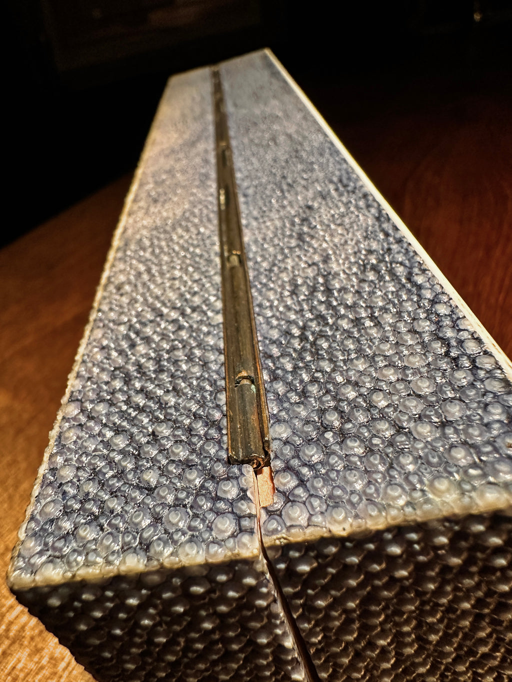 Antique Shagreen Box in Real Stingray | European, c. 1890–1910