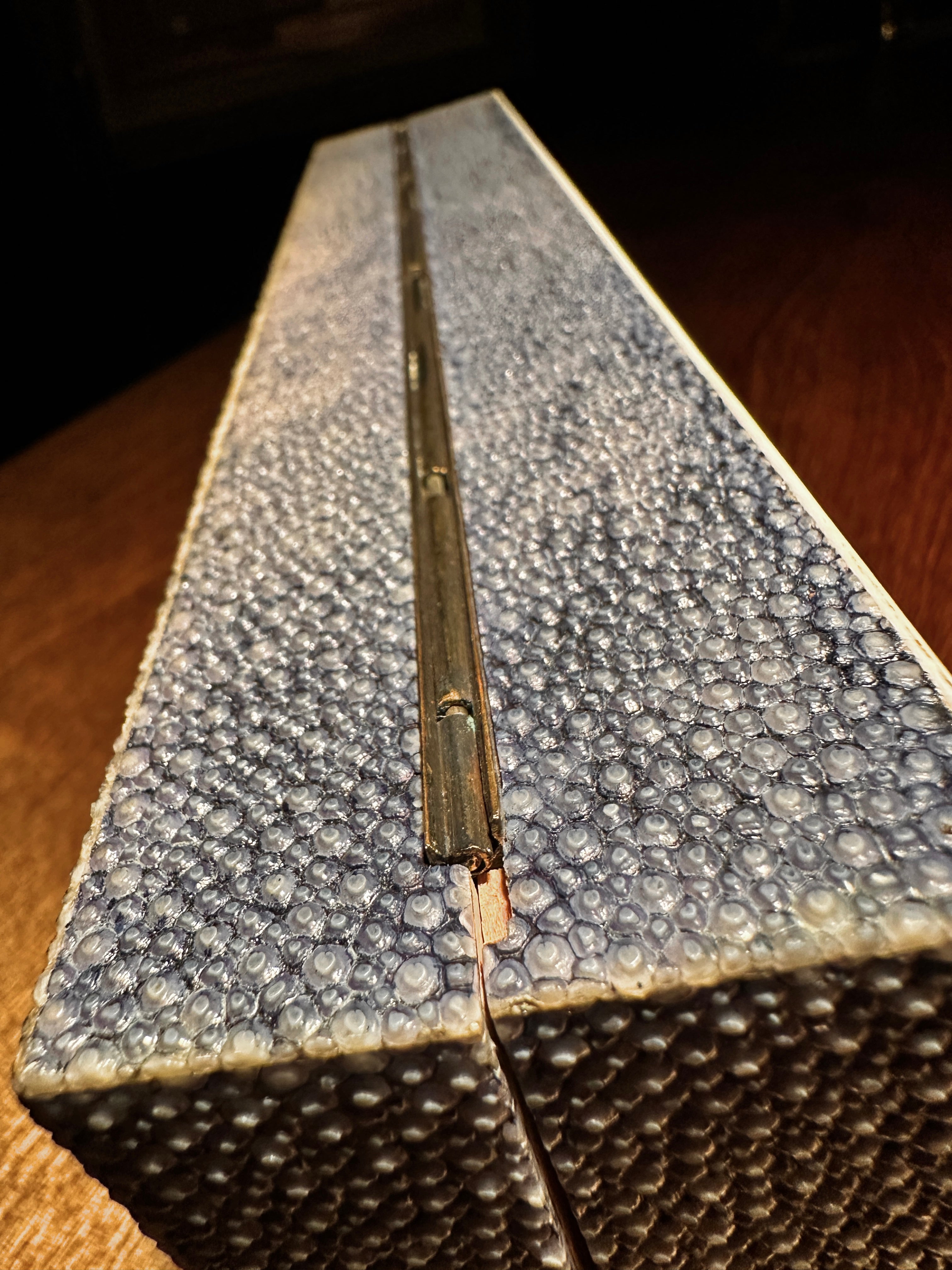 Antique Shagreen Box in Real Stingray | European, c. 1890–1910