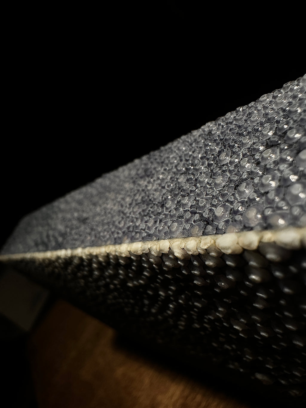 Antique Shagreen Box in Real Stingray | European, c. 1890–1910