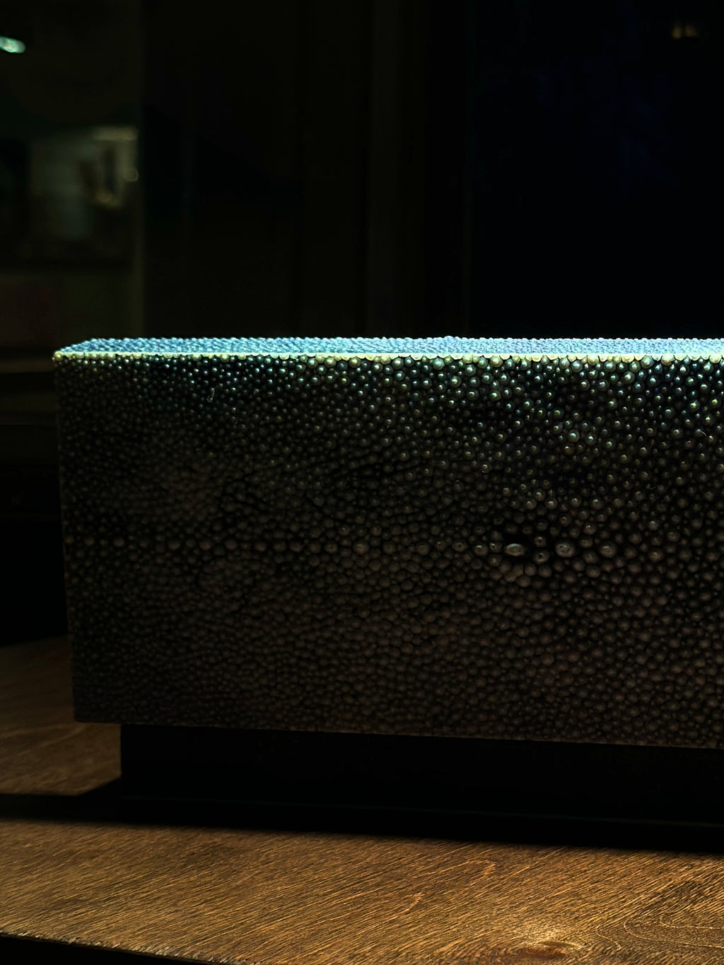 Antique Shagreen Box in Real Stingray | European, c. 1890–1910