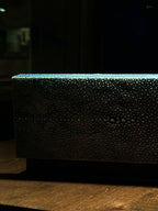 Antique Shagreen Box in Real Stingray | European, c. 1890–1910