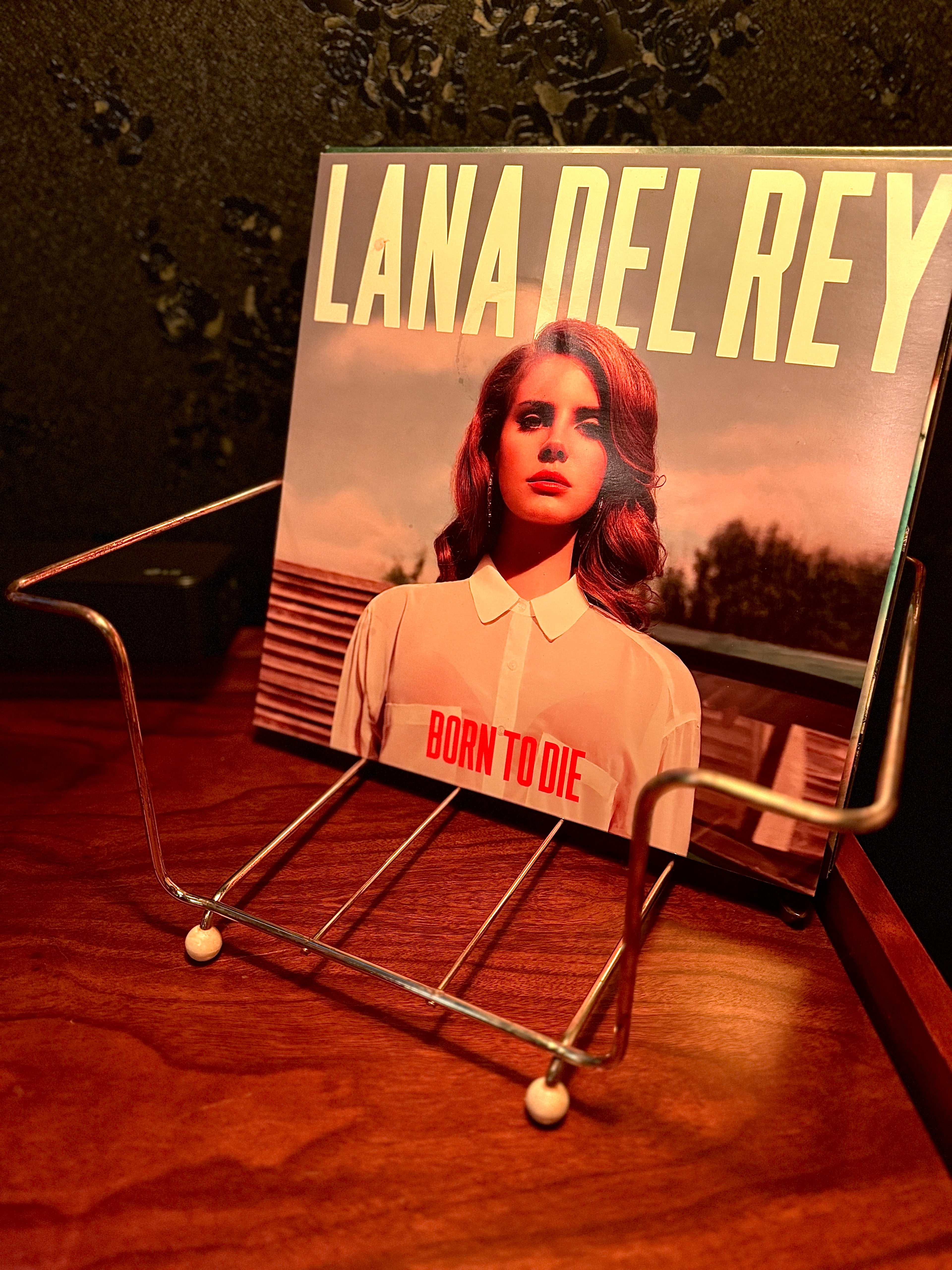 Mid-Century Gold Wire Record / Book Display Stand (c.1958–1968) – Sculptural Modernist Holder