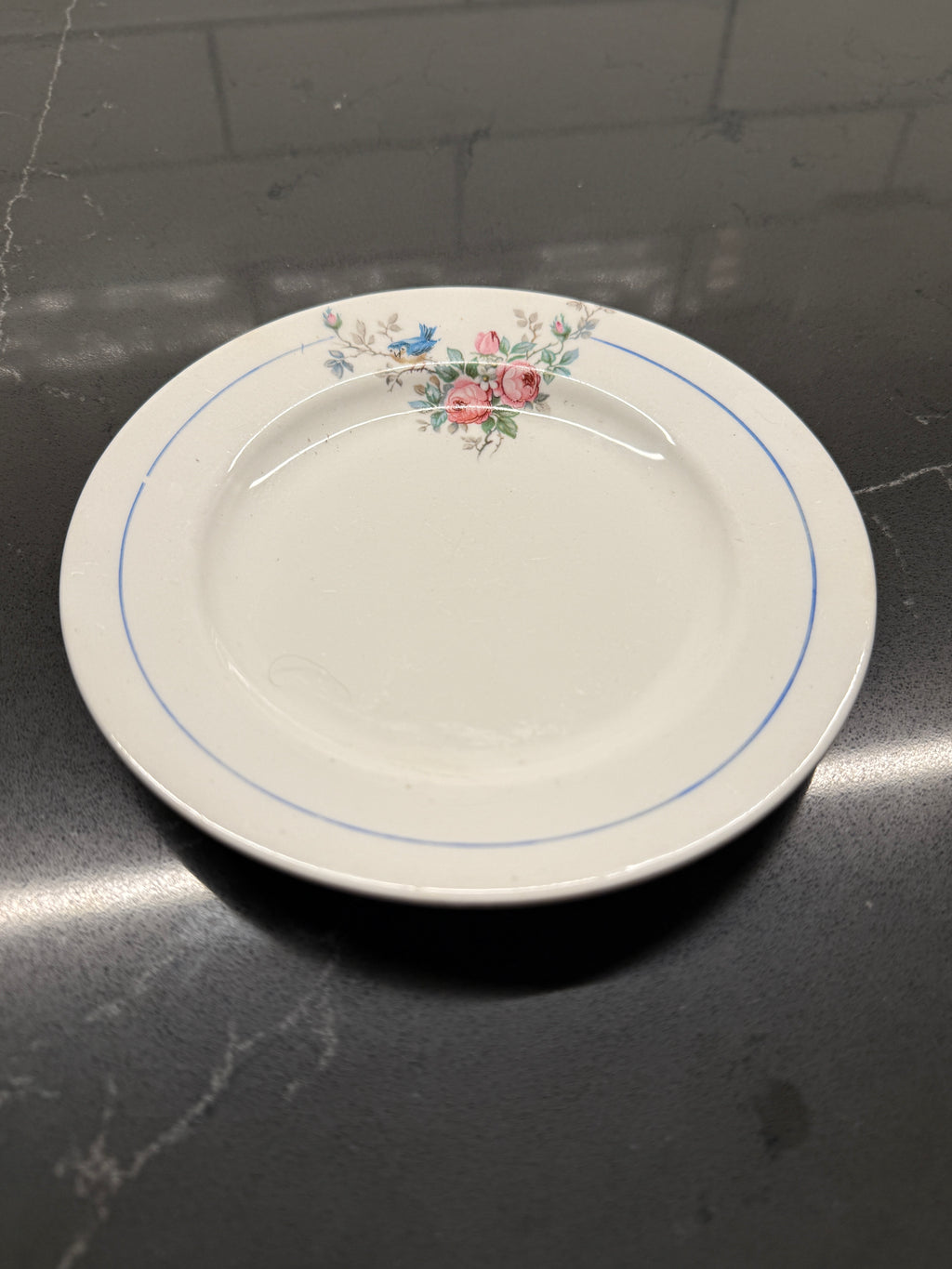 Vintage Canonsburg Floral Plate (1950s–60s) – Roses & Bluebird Bread-and-Butter Dish