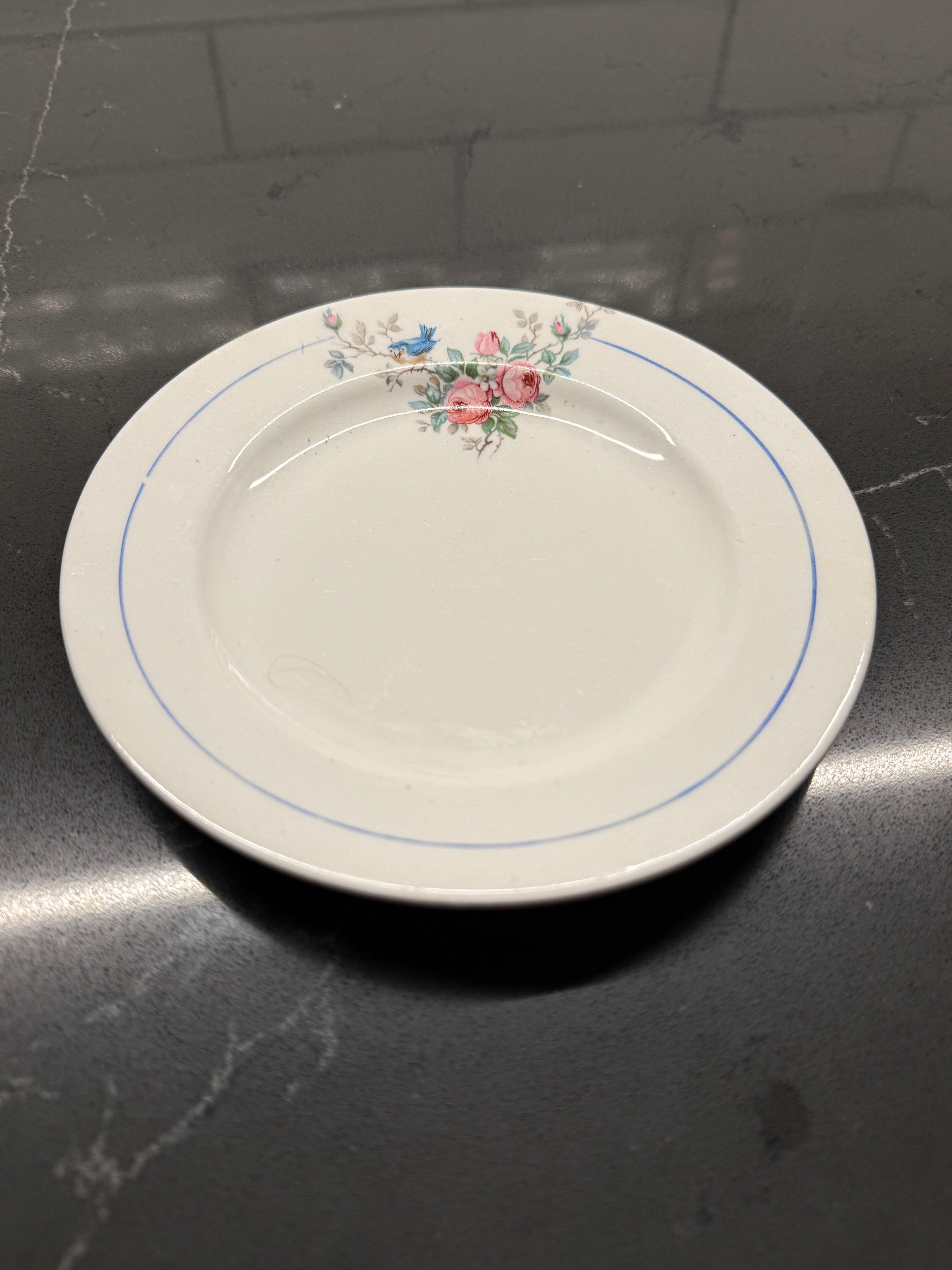 Vintage Canonsburg Floral Plate (1950s–60s) – Roses & Bluebird Bread-and-Butter Dish