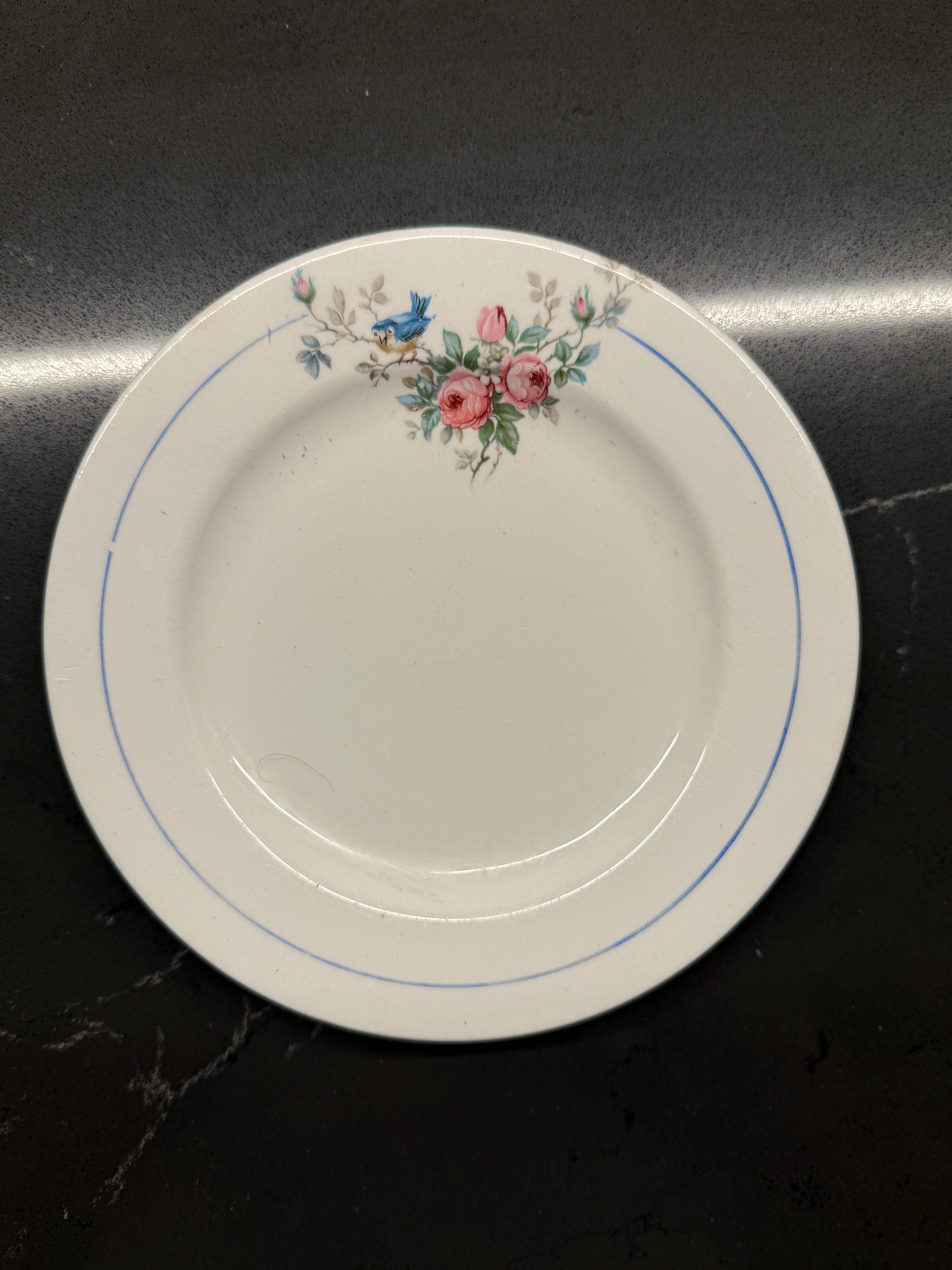Vintage Canonsburg Floral Plate (1950s–60s) – Roses & Bluebird Bread-and-Butter Dish