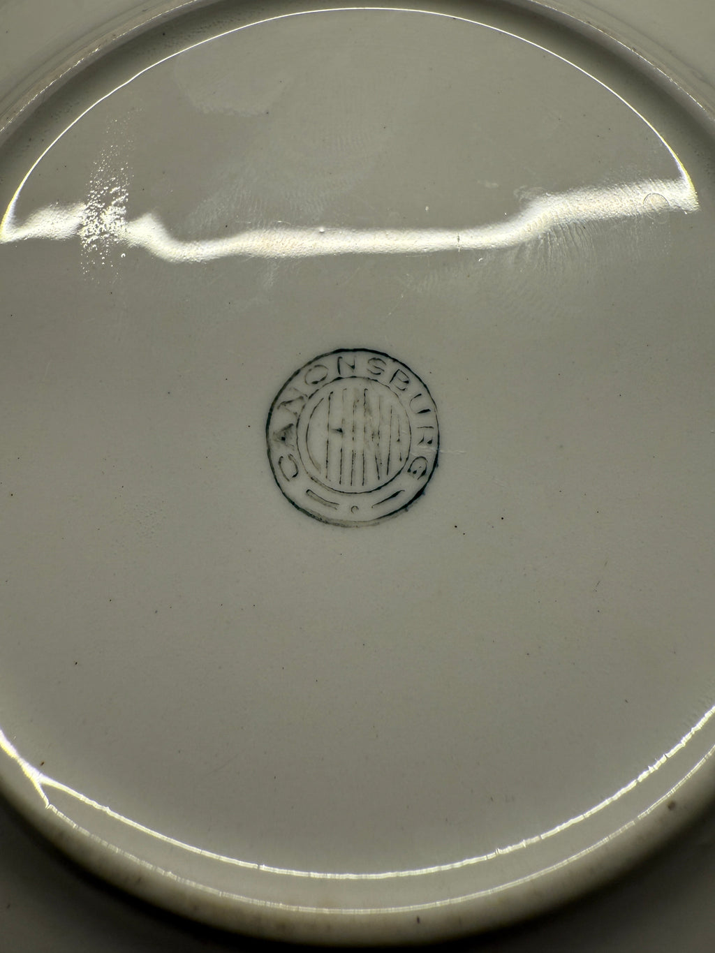 Vintage Canonsburg Floral Plate (1950s–60s) – Roses & Bluebird Bread-and-Butter Dish