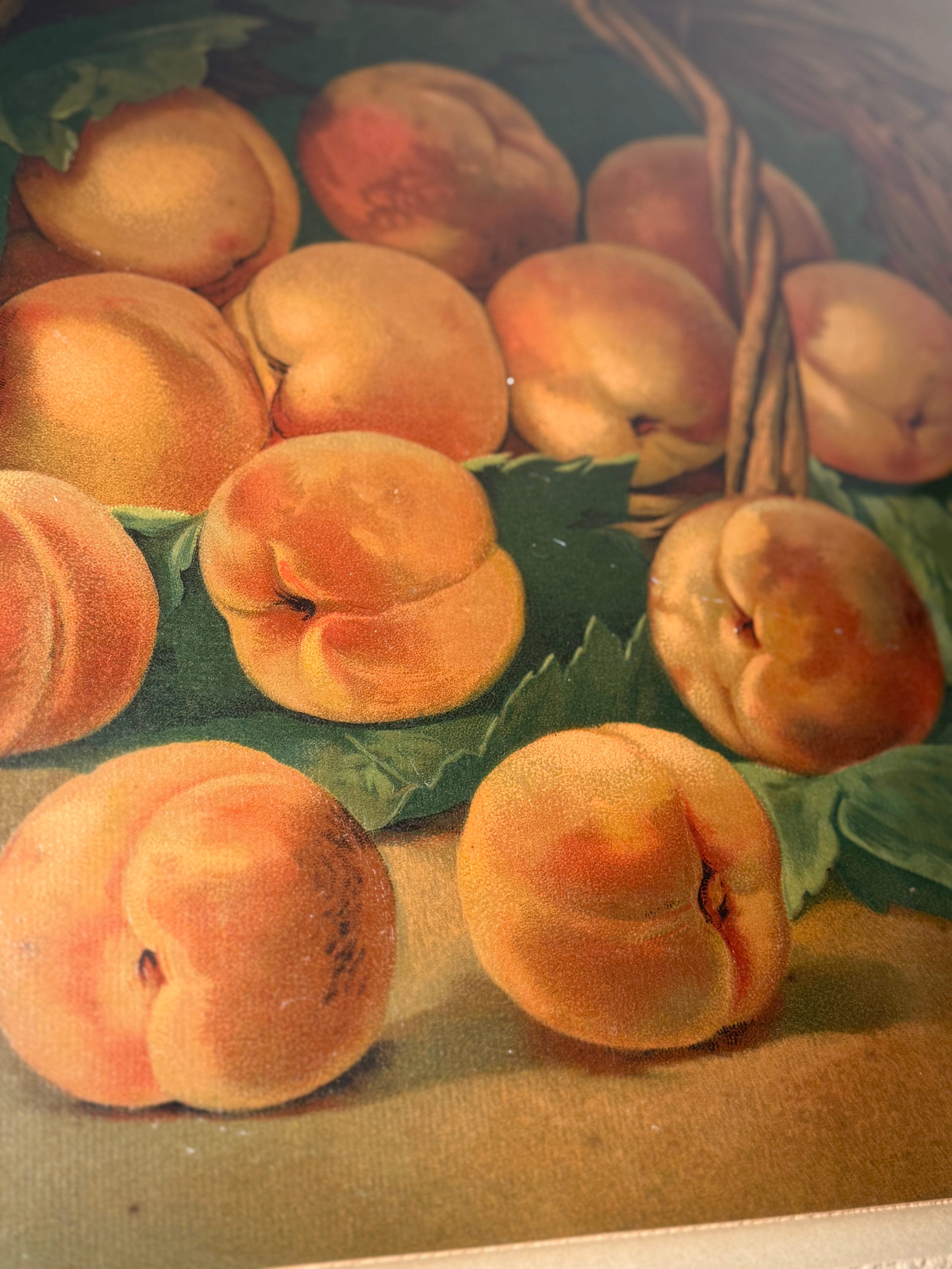 Antique French Still Life Peaches in Basket, Signed “Sirvent,” c.1880–1900, Oil on Board, Ornate Gilt Frame