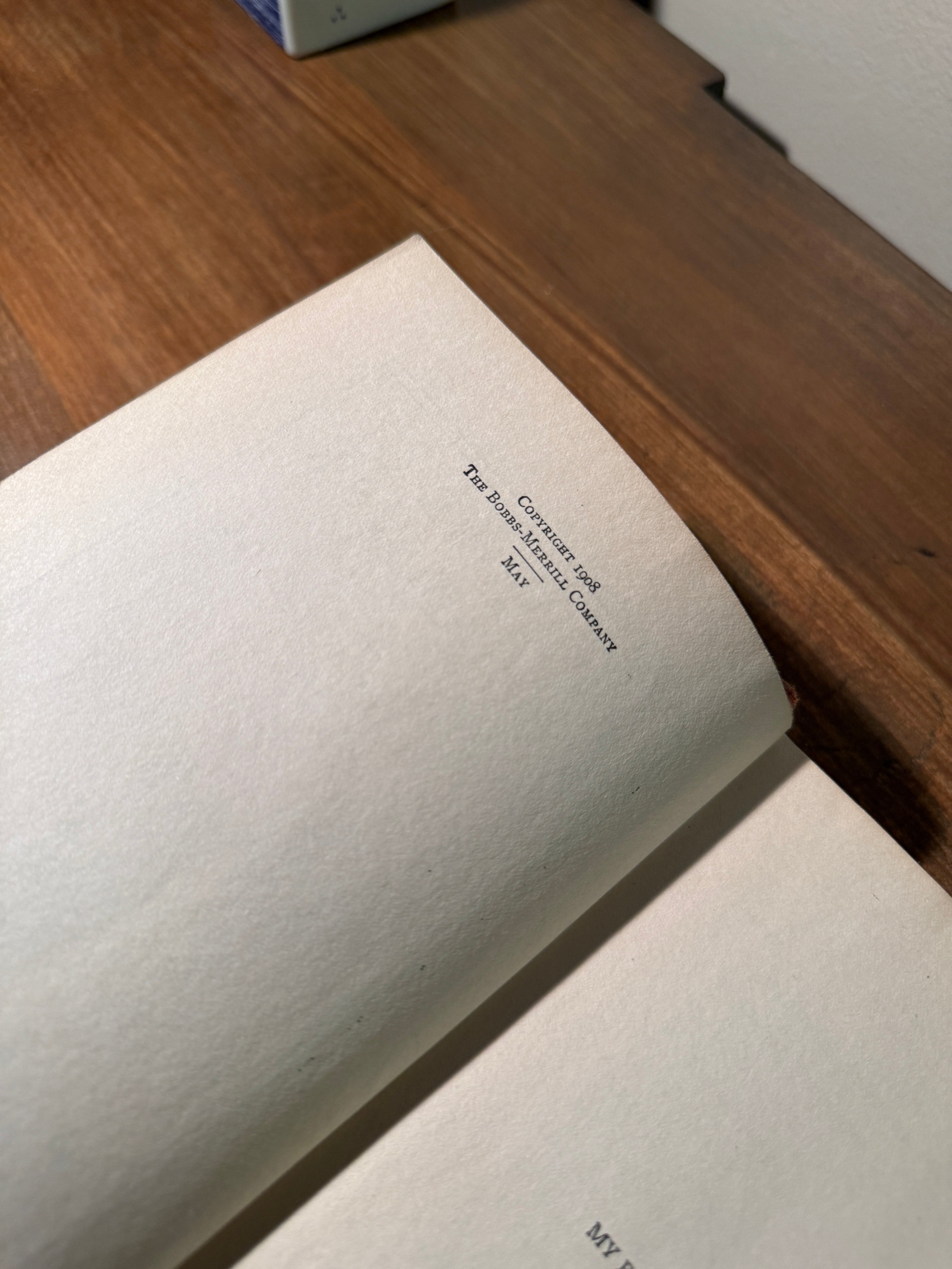 The Lure of the Mask (1908) Illustrated Cloth Novel by Harold MacGrath | Viridian Eclection